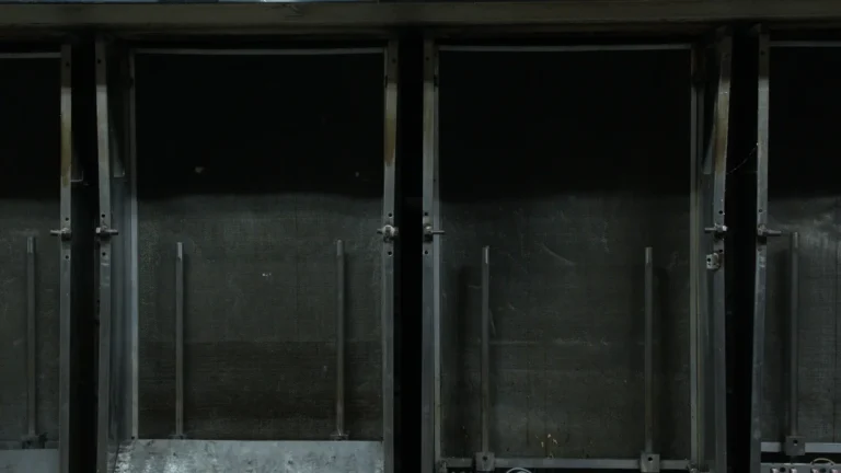 2007-supported-image-5