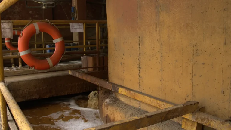 2019-supported-image-1