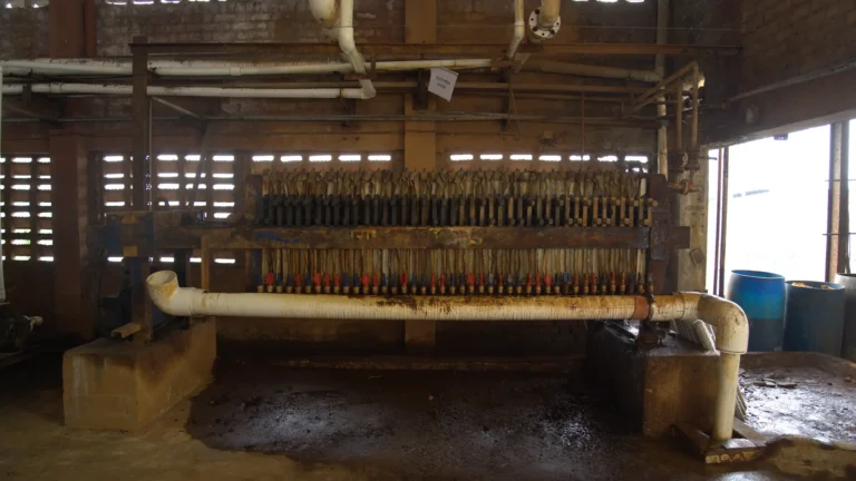 2019-supported-image-3