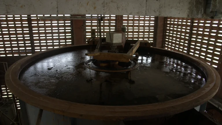 2019-supported-image-7